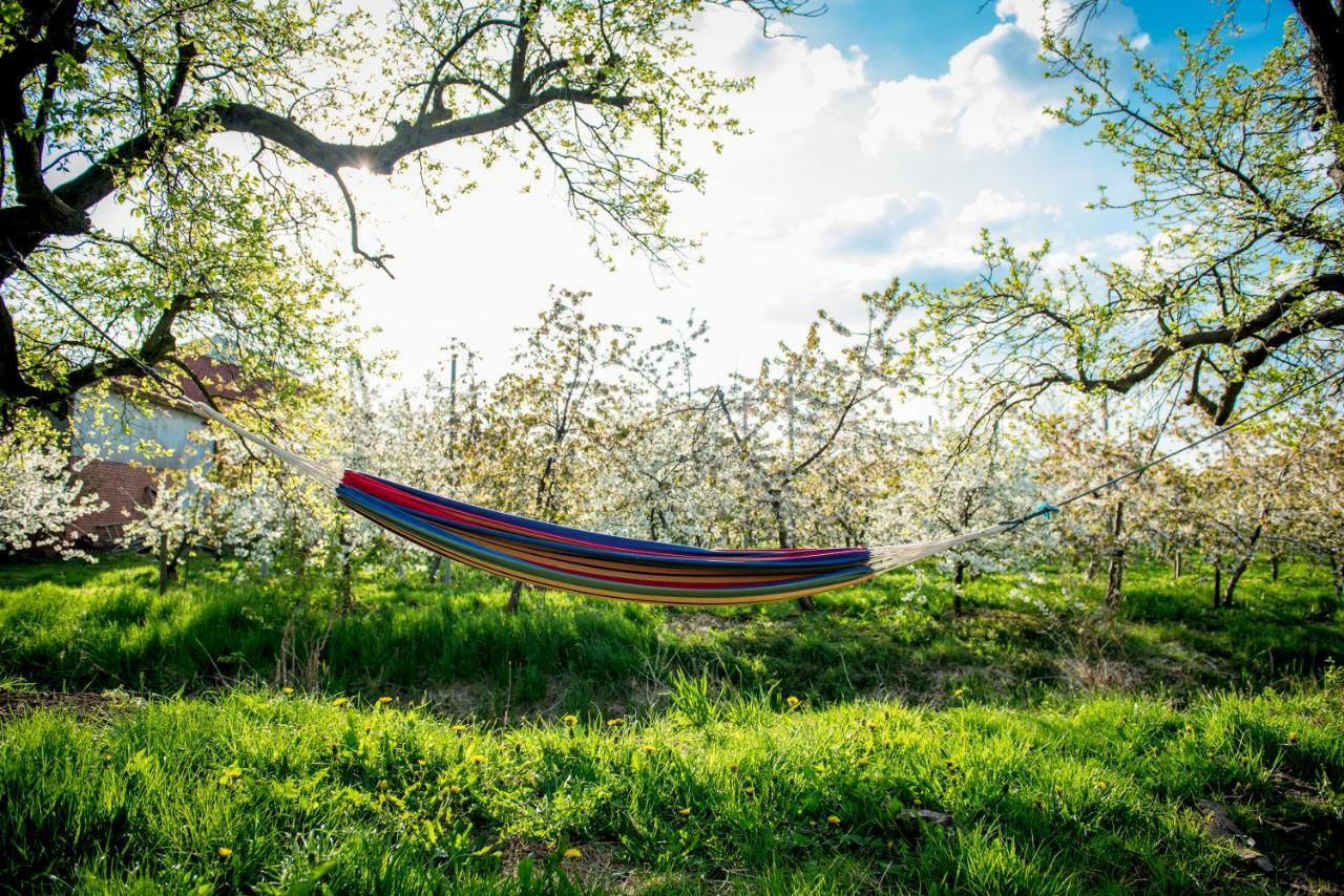 Deichkroenchen Ferienwohnung Altes Land Hamburg Jork Exteriör bild